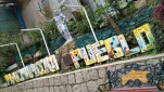 tn IMG 20251029 161745183