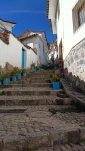 tn IMG 20251105 153832126 HDR