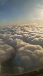 tn IMG 20251106 035510997