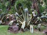 tn P7160097